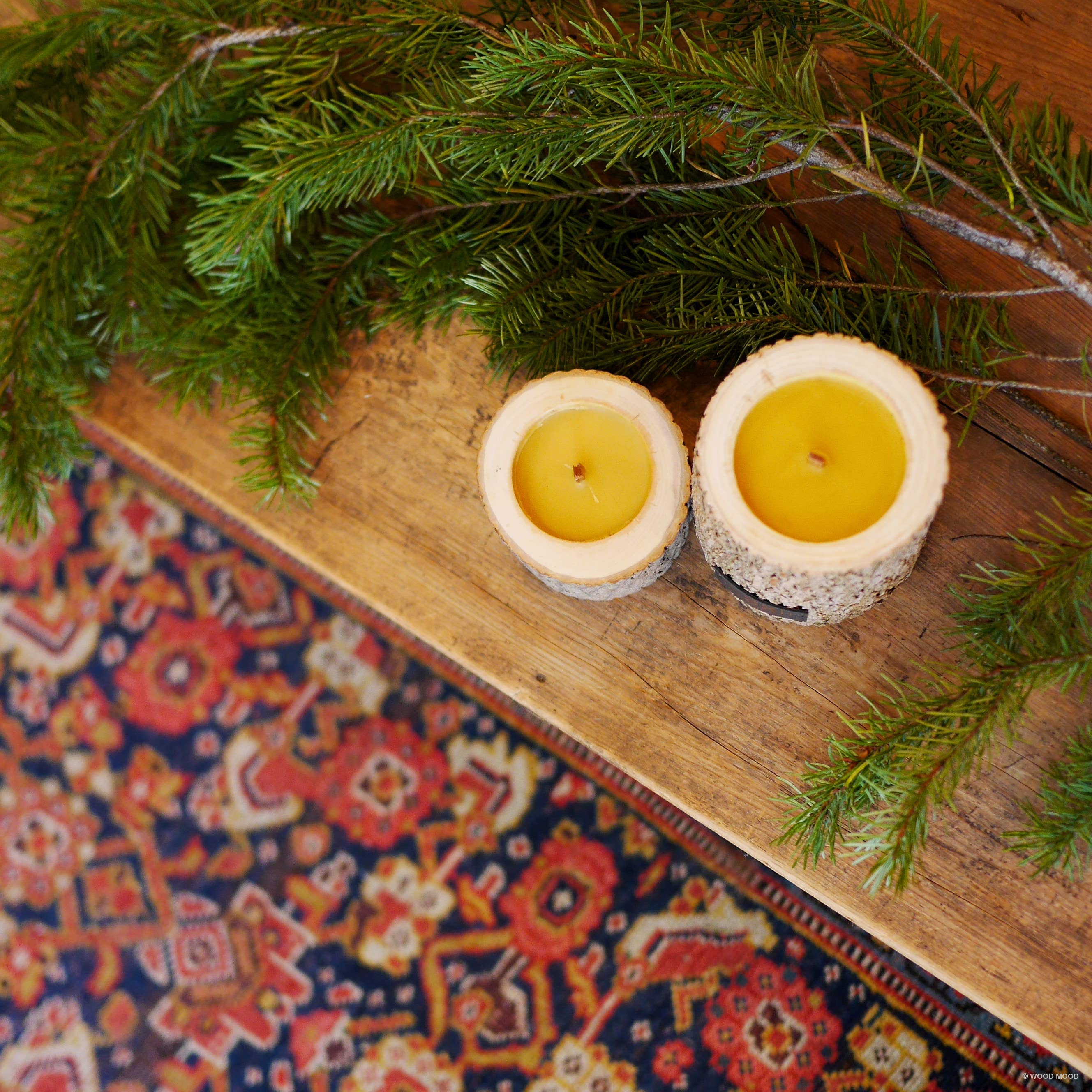 WOOD MOOD - Vendita all'ingrosso Candela in vasetto - Rocky Original | candela riutilizzabile con olio essenziale di pino12