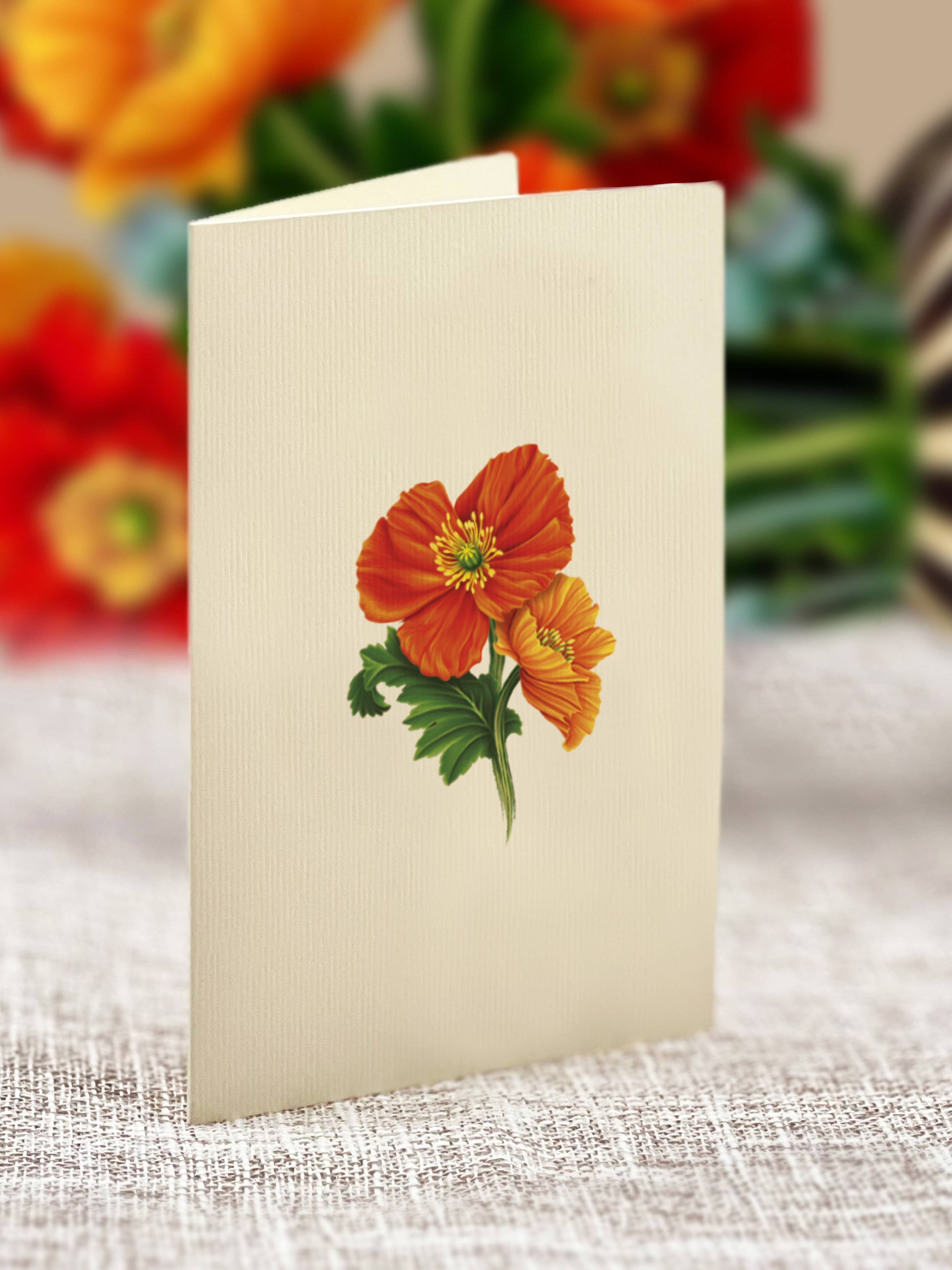 FreshCut Paper LLC - Wholesale Everyday Greeting Card - Mini French Poppies (10 Pop-up Greeting Cards)5
