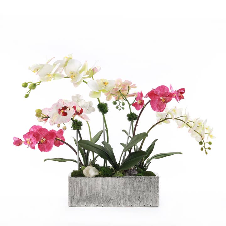 Real Touch Phalaenopsis Orchids in Luxe Silver Ceramic Pot for wholesale by JENNY SILKS