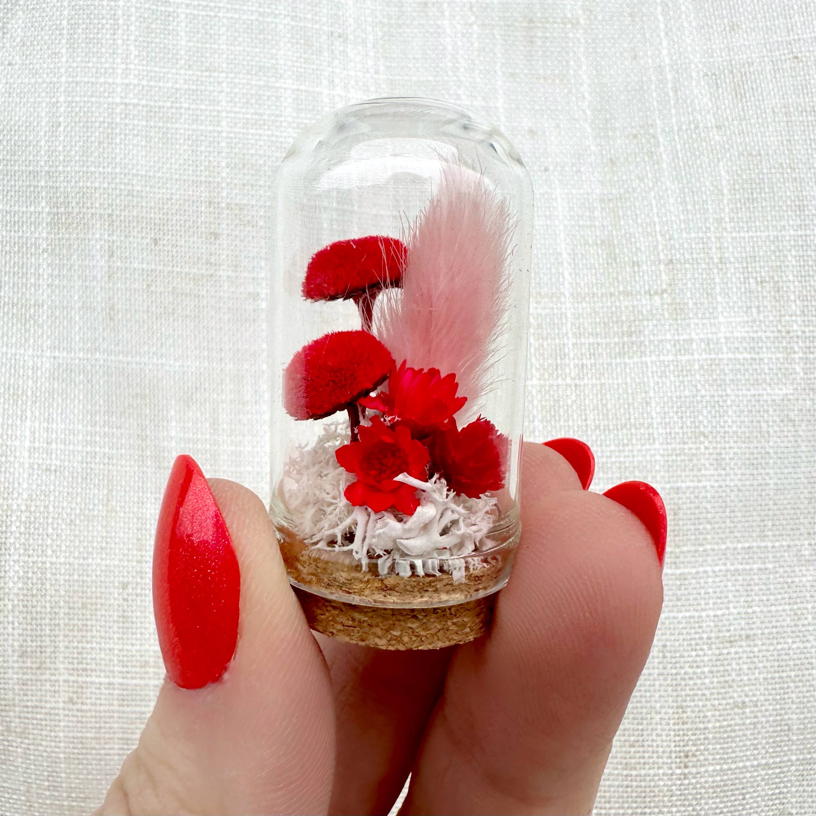CA Studios - Wholesale Terrarium - Valentine Mix Mini Terrarium Floral Cloche Apothecary Jar2