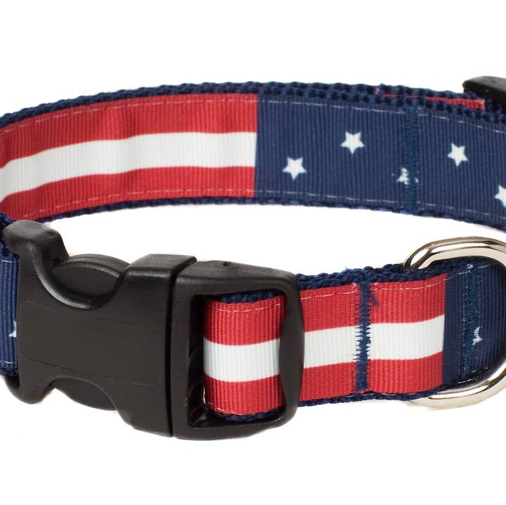 Americana Park Dog Collar-Americana Flag for wholesale by Paw Paws USA