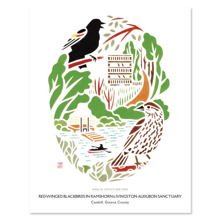 Art print: Red-winged Blackbirds in RamsHorn-Livingston for wholesale by Mayuko Fujino Bird & Nature Art