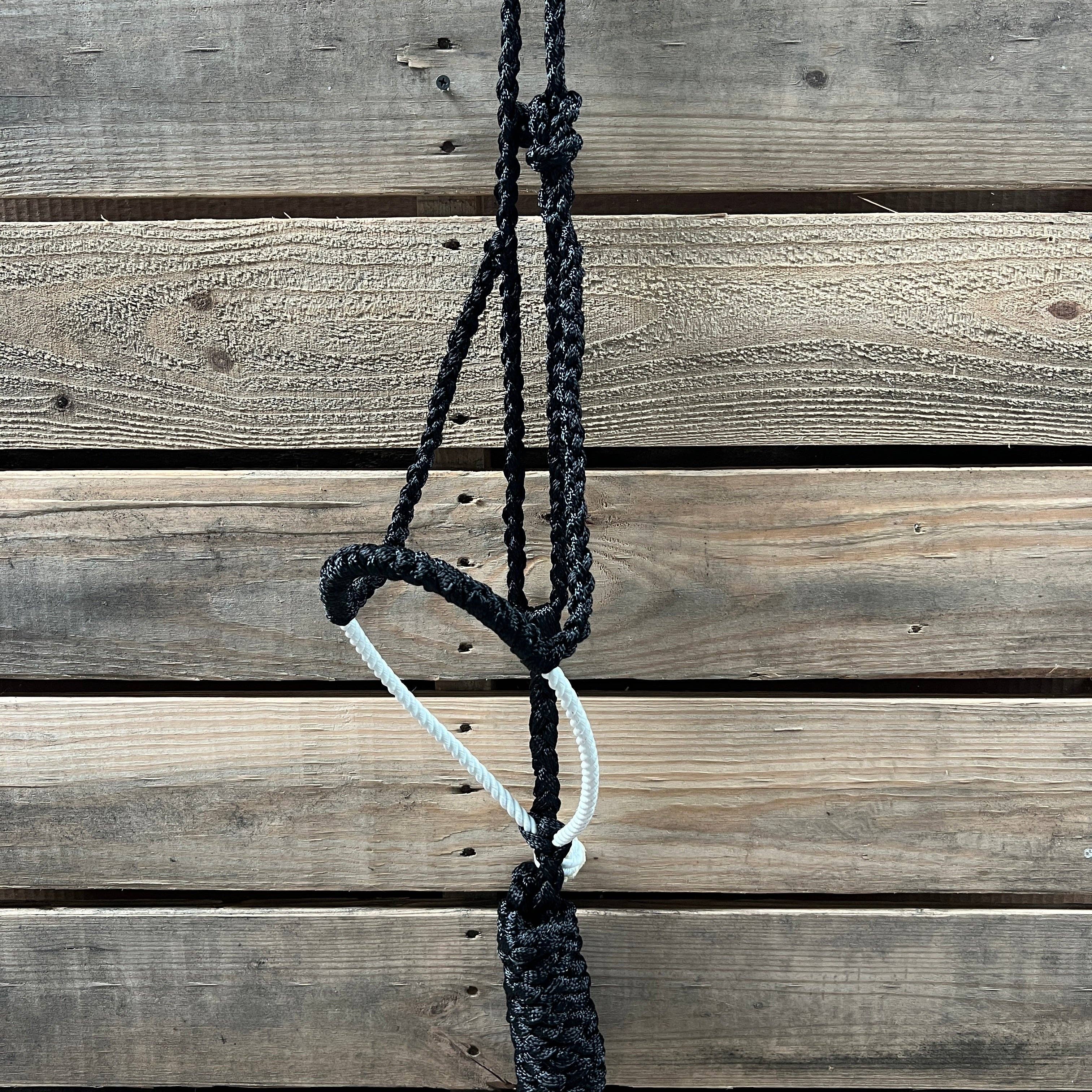 Rodeo Drive – Großhandel Reitausrüstung – Lariat Mule Tape Halfter, verschiedene Farben0