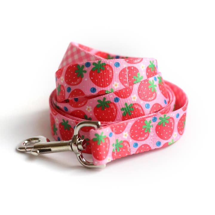 Clive and Bacon, LLC - Wholesale Pet Leash - Dog - Berry Cute Dog Leash