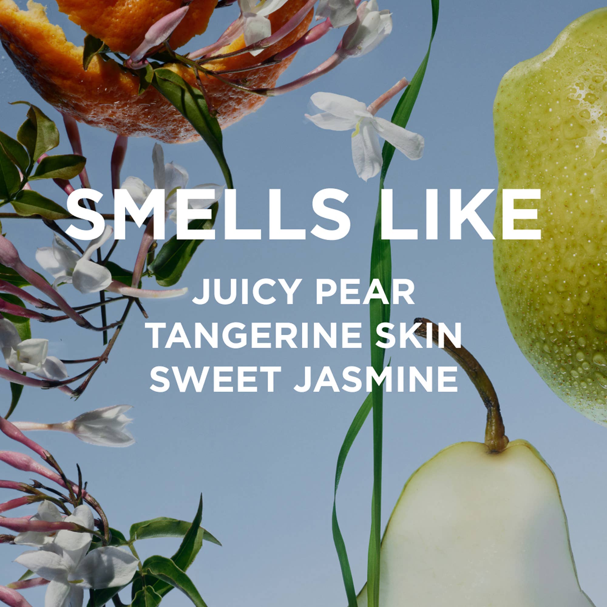 By Rosie Jane - Wholesale Roll-On Fragrance - LEILA LOU Perfume Oil with pear2