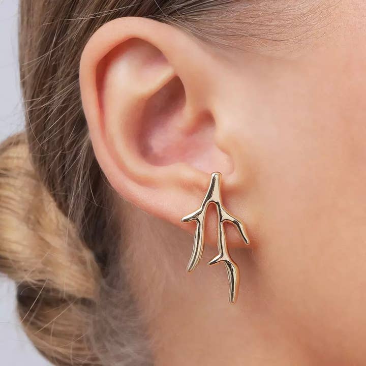 RAICES para venta al por mayor de Ethnial