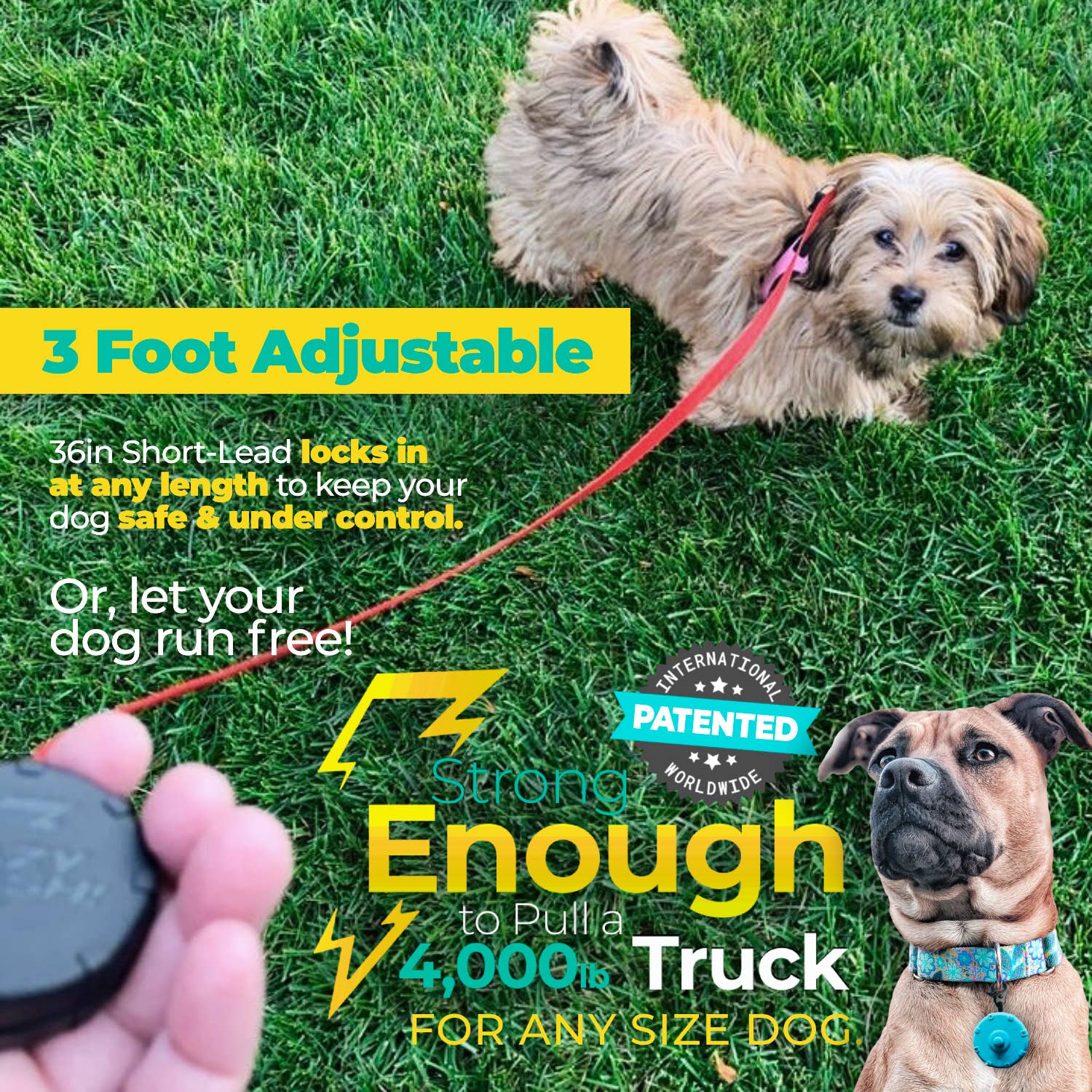 Lazy Leash! – wholesale Hundkoppel - Hund – Lat koppel! 19st Mini Power Koppel 10 Lådor + 9 Märkt Mix3