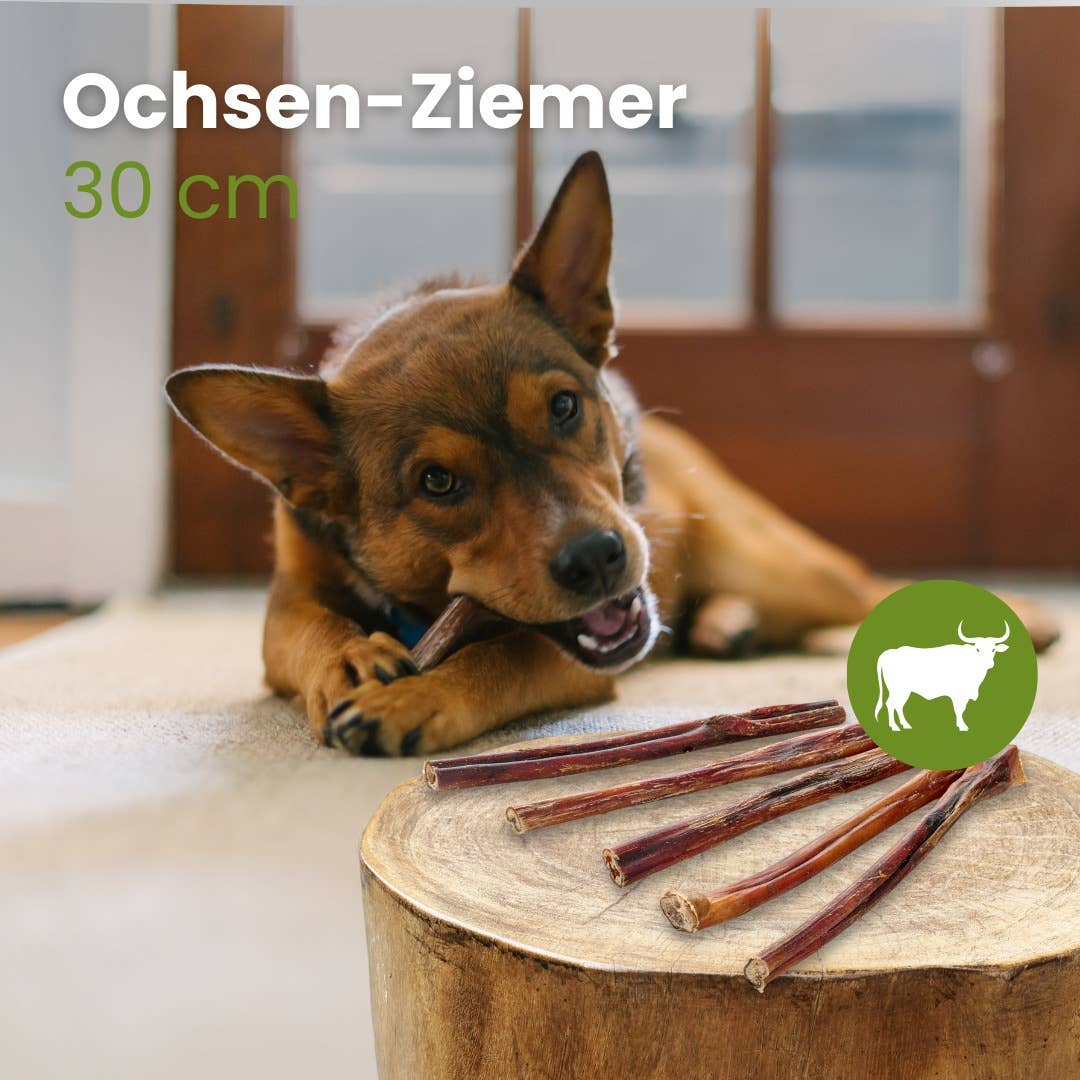 Kauartikel.com GmbH - Wholesale Pet Bone/Rawhide - Dog - Ox-Ziemer 30 cm1
