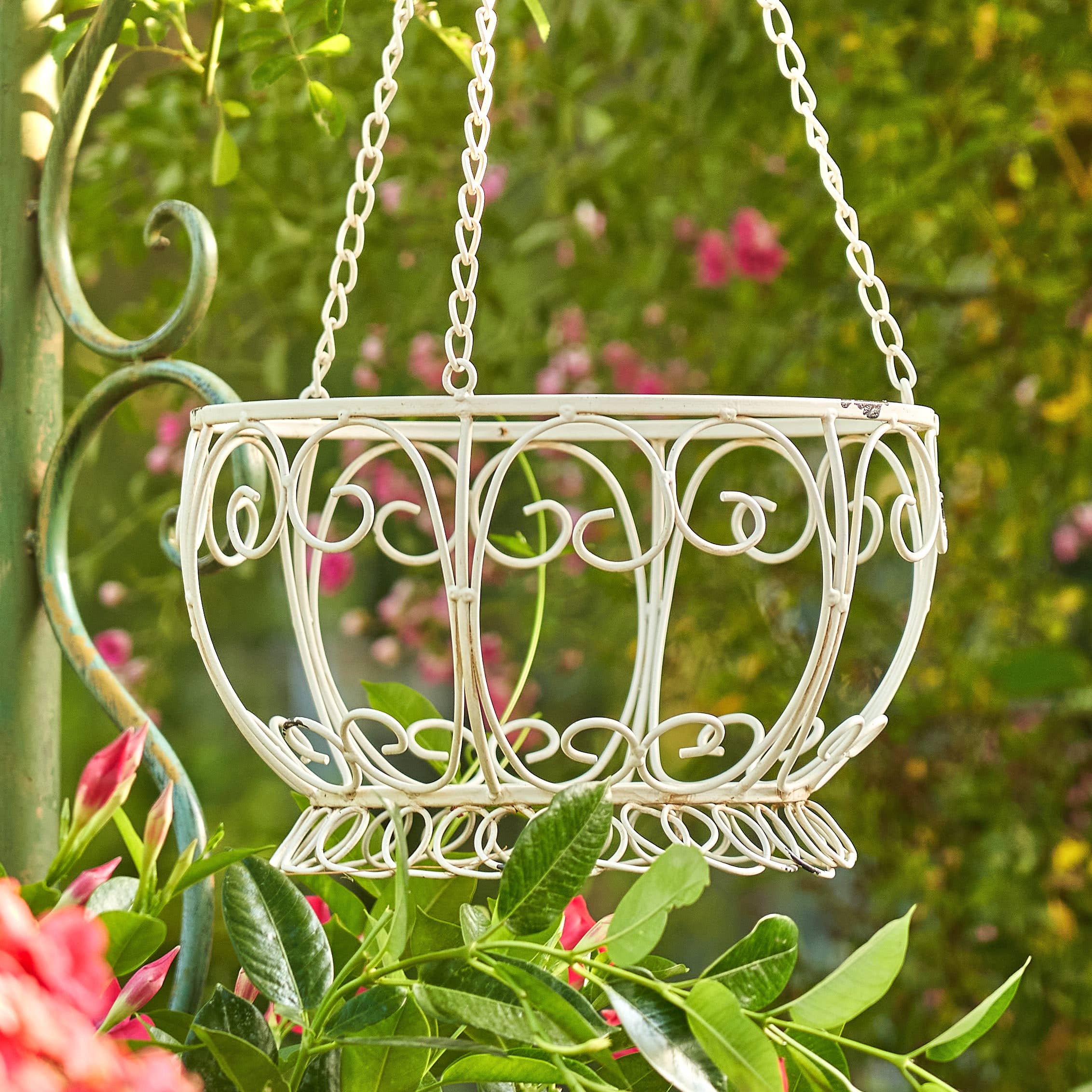 Zaer Ltd. International - Wholesale Hanging Planter - Hanging Iron Basket Planter "Paris 1968" - 3 Colors3