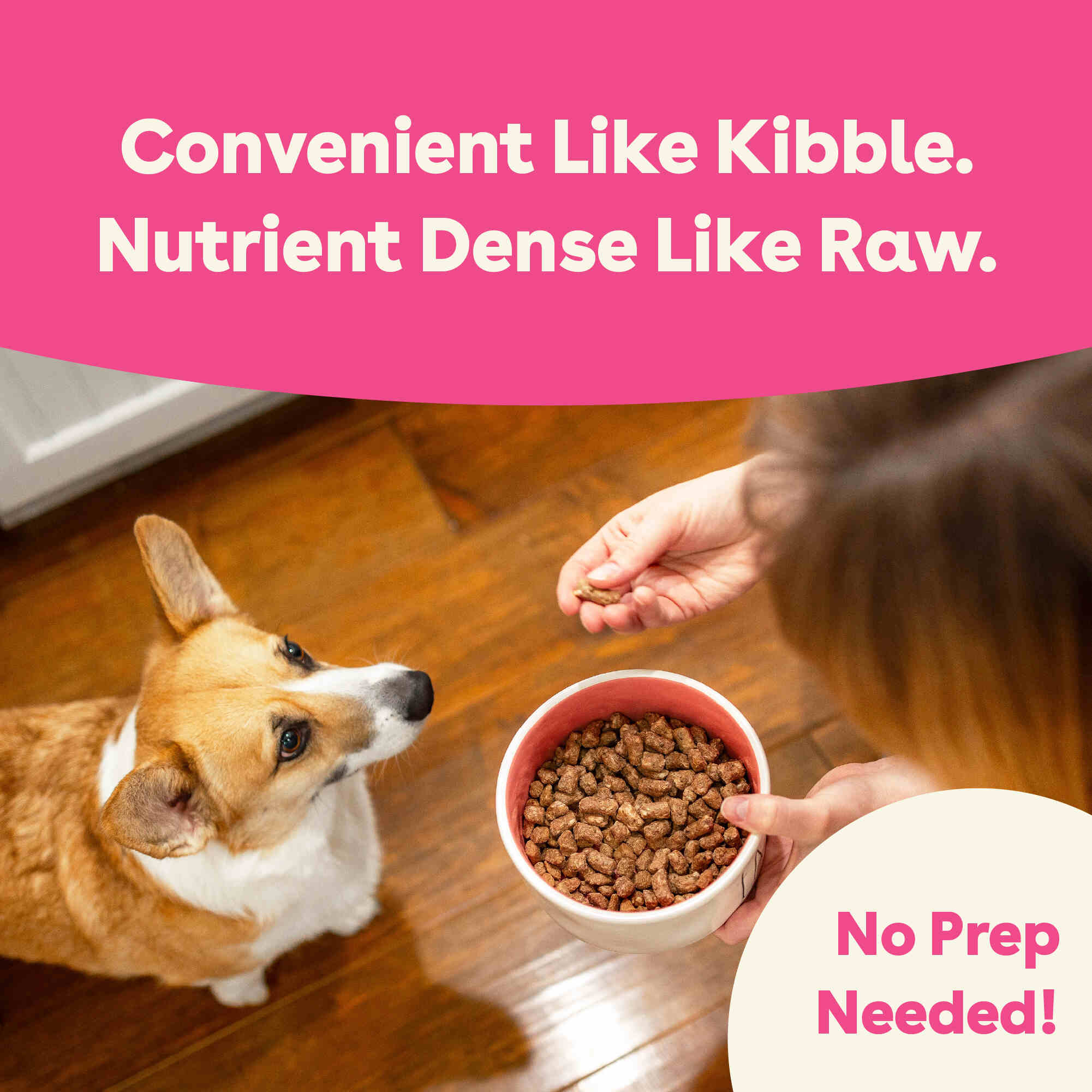 Pupford - Wholesale Pet Food - Dog - Freeze-Dried Raw Dog Food - Salmon & Lamb Recipe4