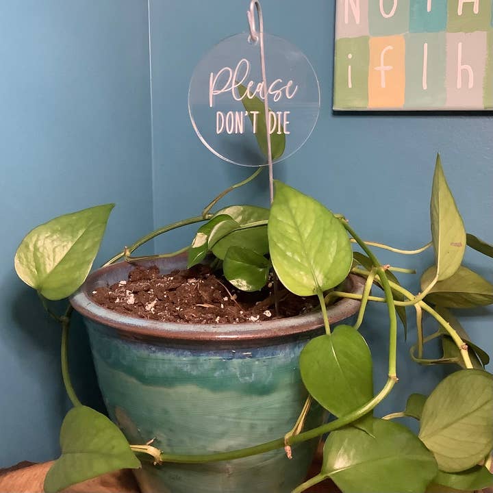 Crawford Custom Engraving - Wholesale Garden/Lawn Stake - Plant and Garden Markers, Plant Puns, Funny Plant Markers1