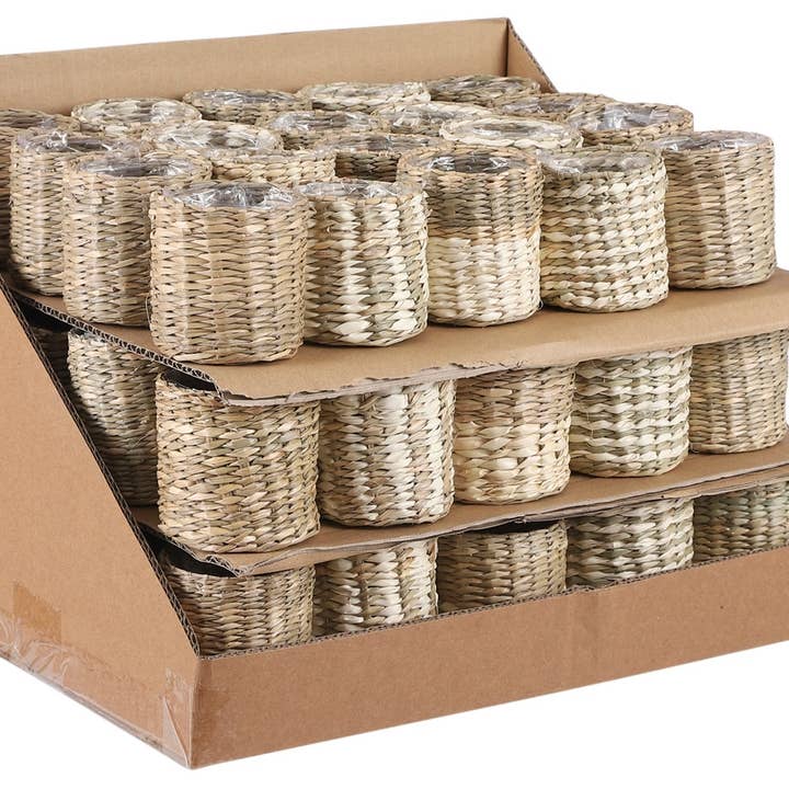 BIDKhome - Wholesale Plant Pot - Alexis Pot Round Case. 60 Pieces Total. Case Pack Only.
