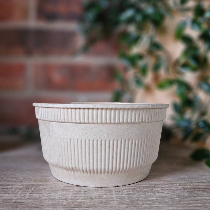 250 pcs Thick Wall Home-Compostable Round Bowl 750ml for wholesale by Sustainoware