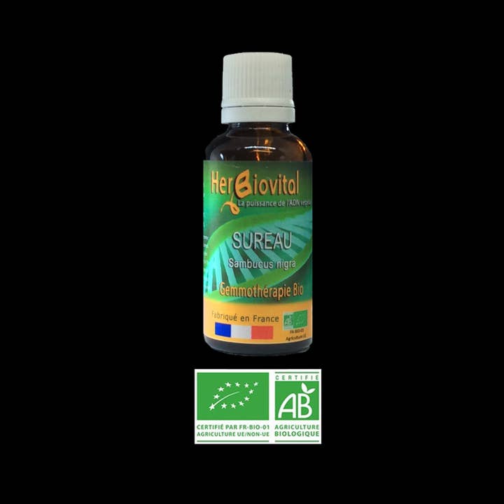 Organic elderberry - Macerate for slow digestions for wholesale by HERBIOVITAL