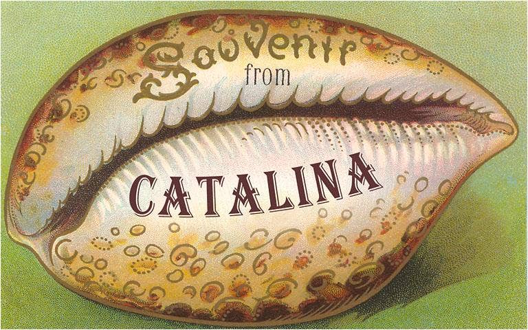 Found Image Press – Engroshandel Magnet – Magnet CA-938 Skal Souvenir fra Catalina, Californien0