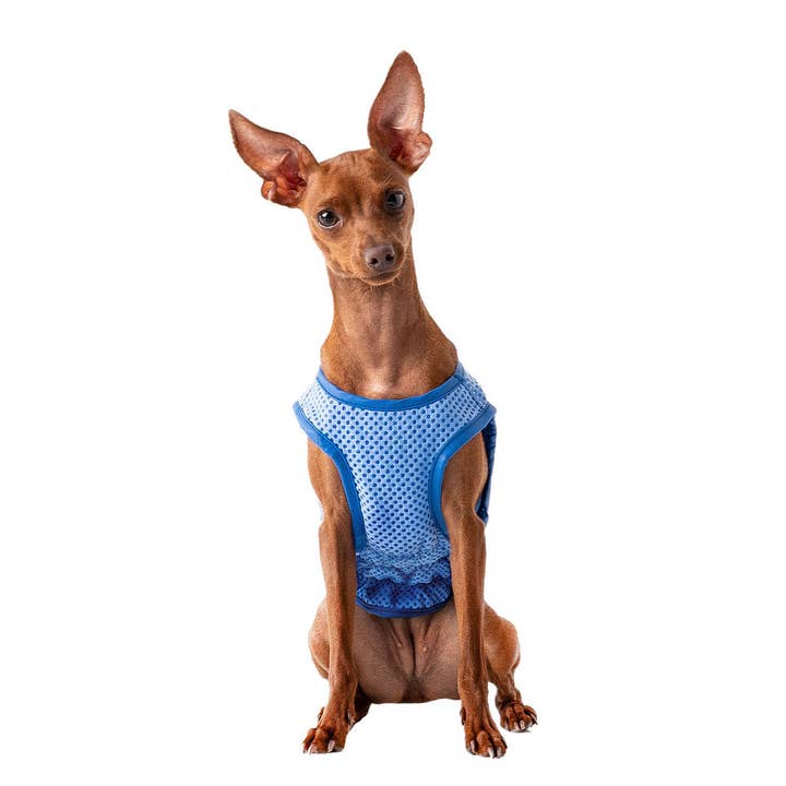 GF Pet - Wholesale Pet Vest - Dog - GF Pet Elasto-Fit Ice Vest: Blue