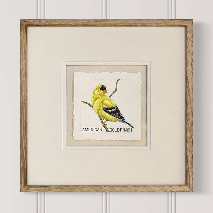 American Goldfinch square giclee print for wholesale by Meredith Raiford Art