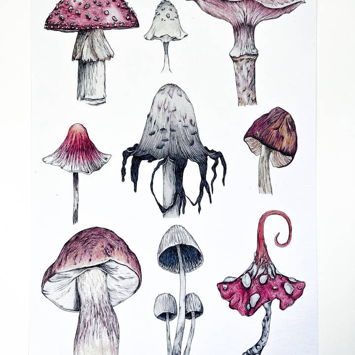 Right Hand House – wholesale Konsttryck – Wild Svampar vit A4 Art Print