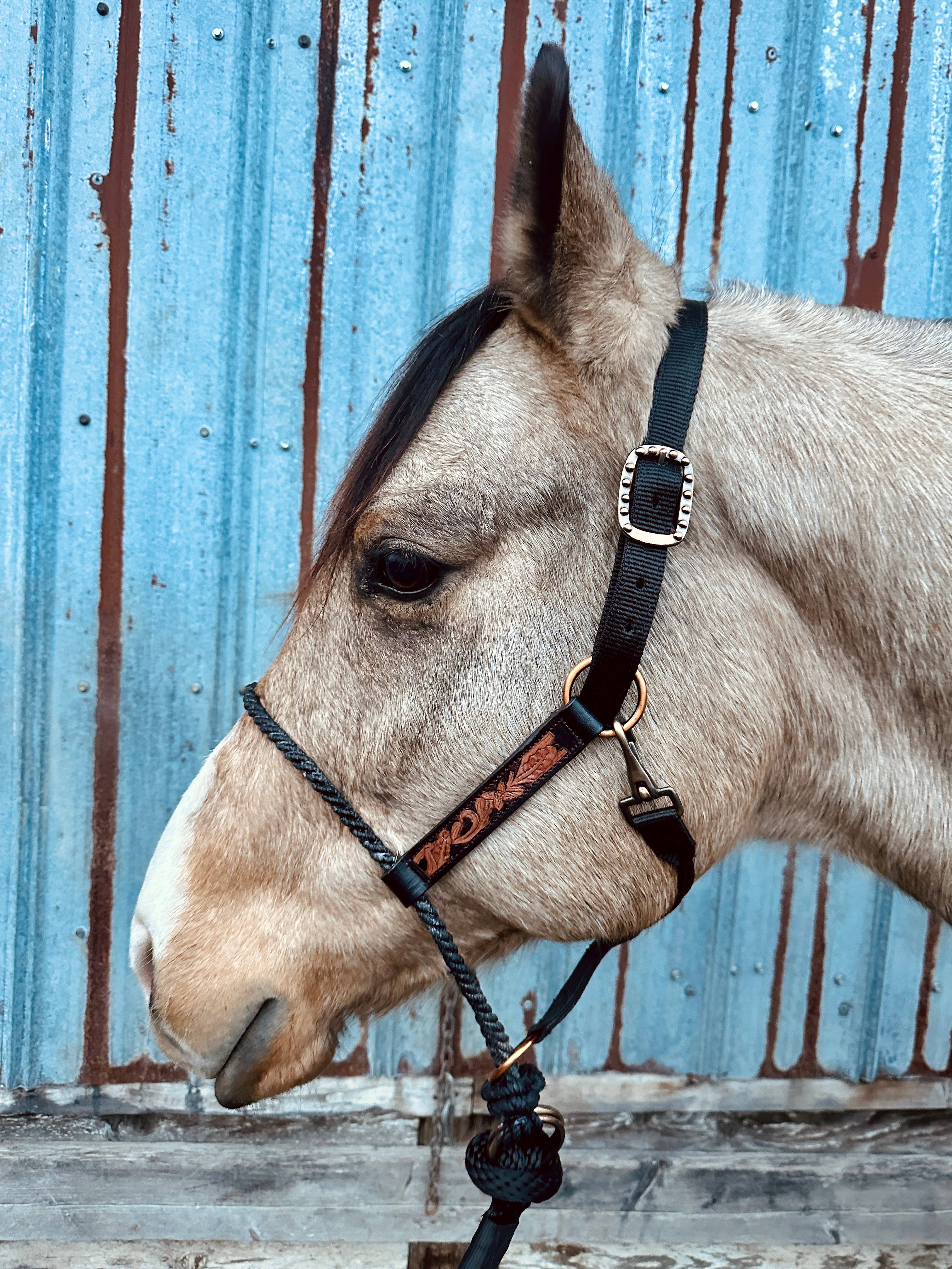 Schulz Equine - Wholesale Horseback Riding Gear - Lariat Nose Halter8