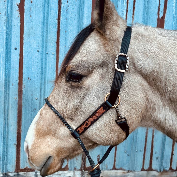 Schulz Equine - Wholesale Horseback Riding Gear - Lariat Nose Halter13