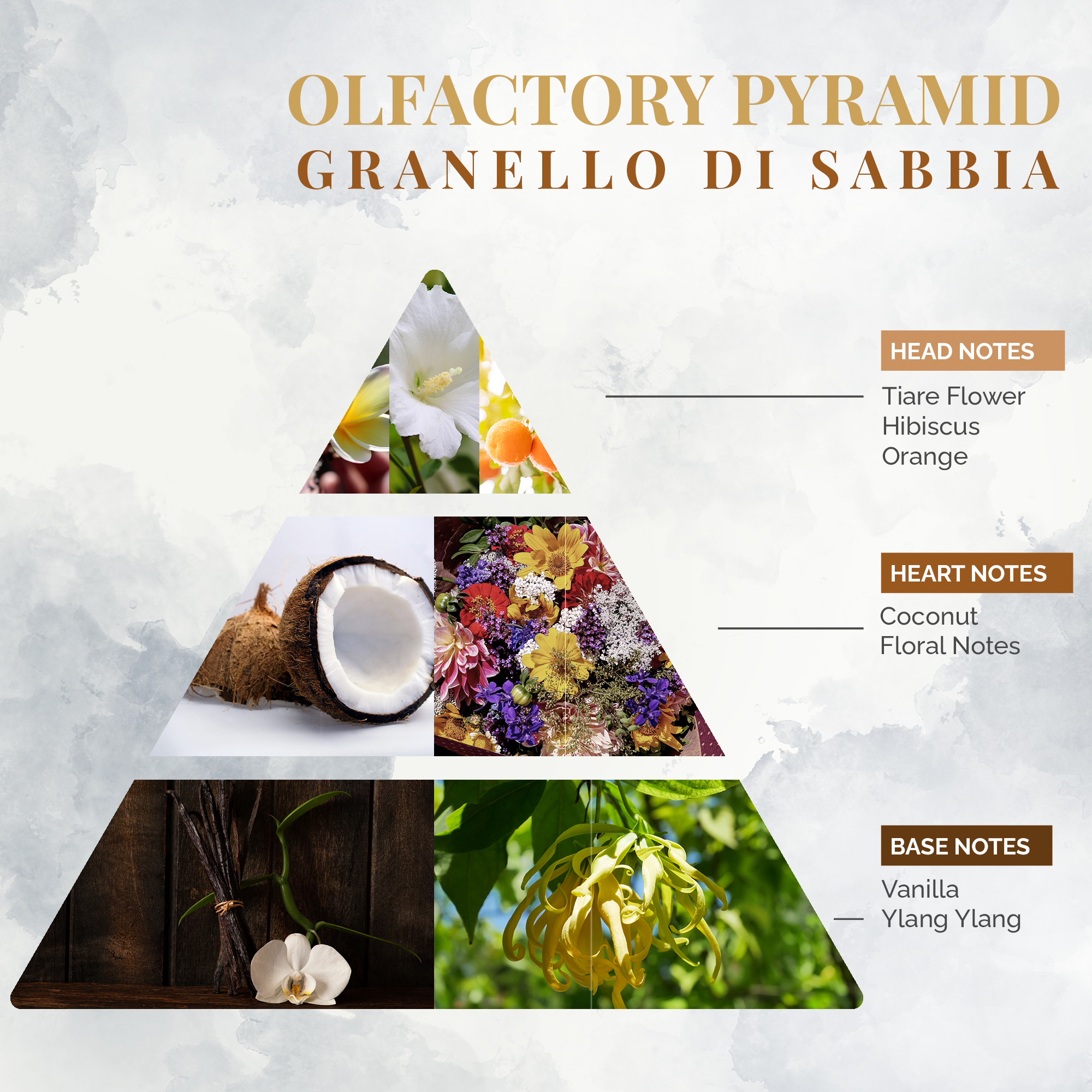 Logevy Firenze 1965 – wholesale Doftpinnar – Doft för Hem Granello di Sabbia 100ml4