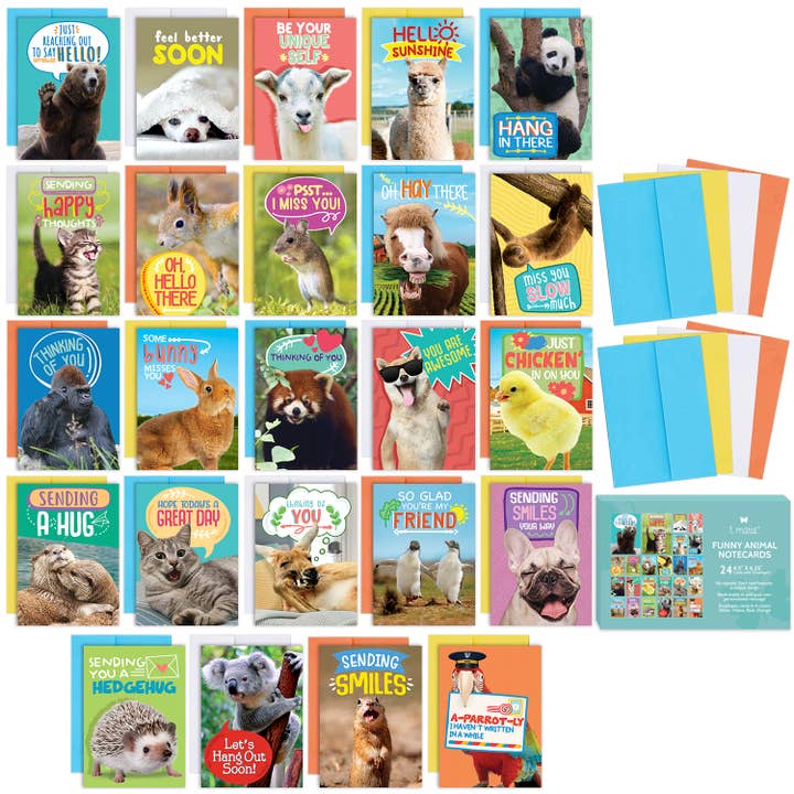 T Marie - Wholesale Everyday Greeting Card - 24 Funny Greeting Cards Set with Envelopes - 24 Designs