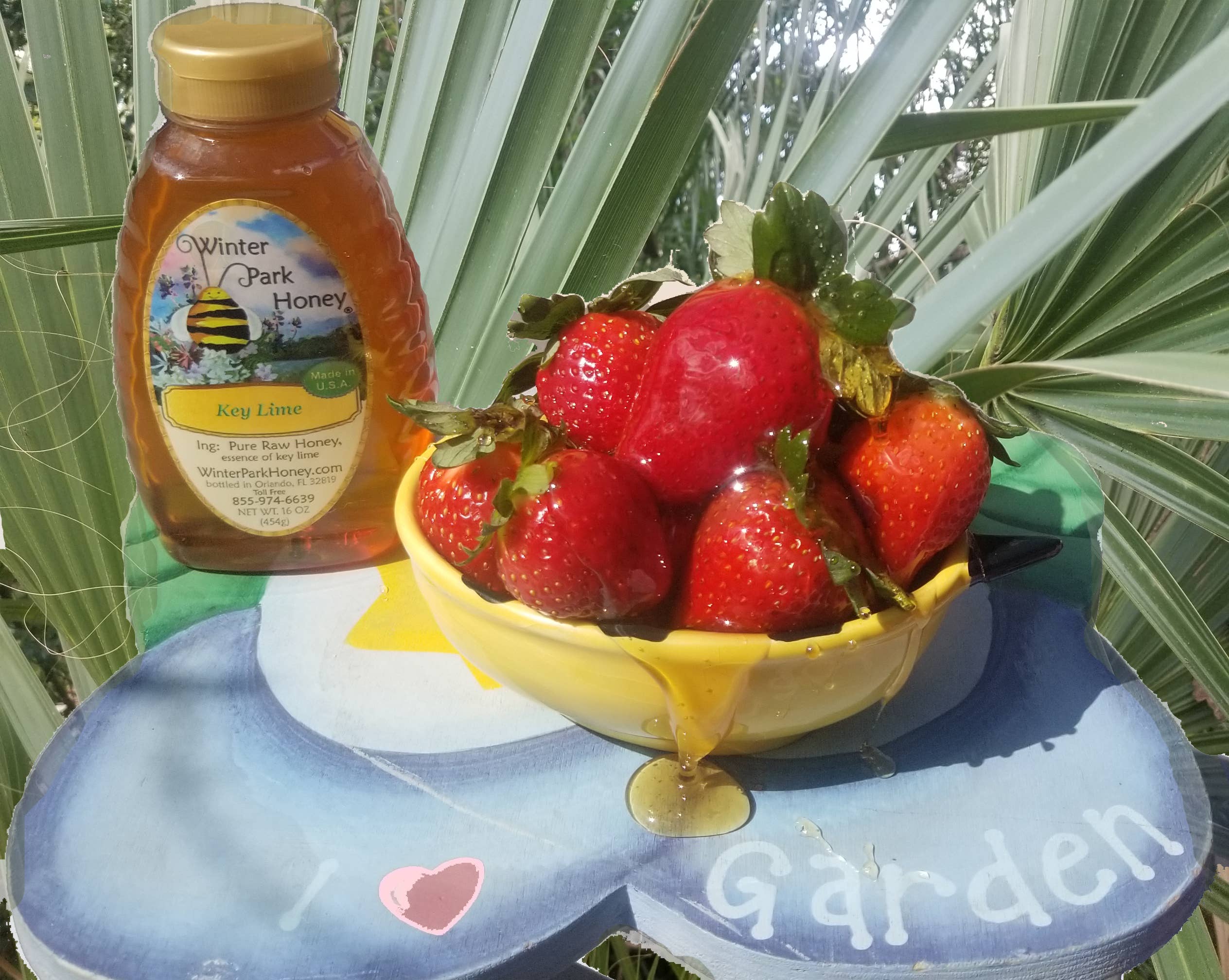 Winter Park Honey - Wholesale Honey - Orlando Allergy Honey - 16oz  | Local Bee Honey8