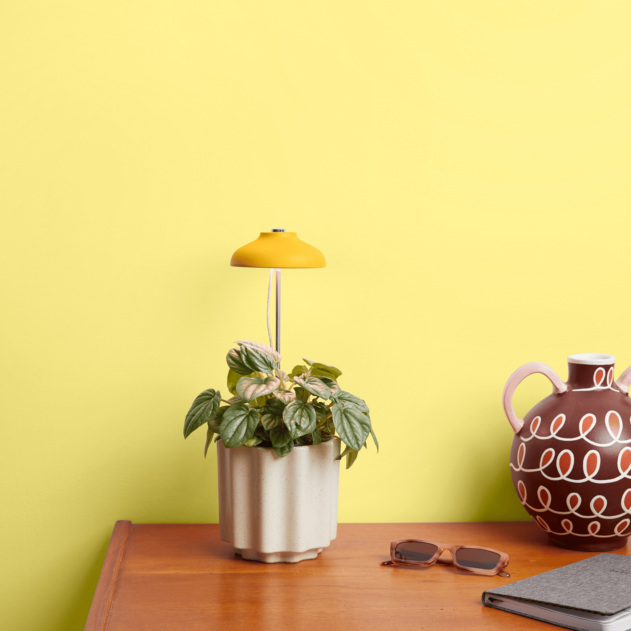 We the Wild Plant Care - Australia - Vente Ampoule/spot - Lampe Instant Sun Grow, boîte de 63