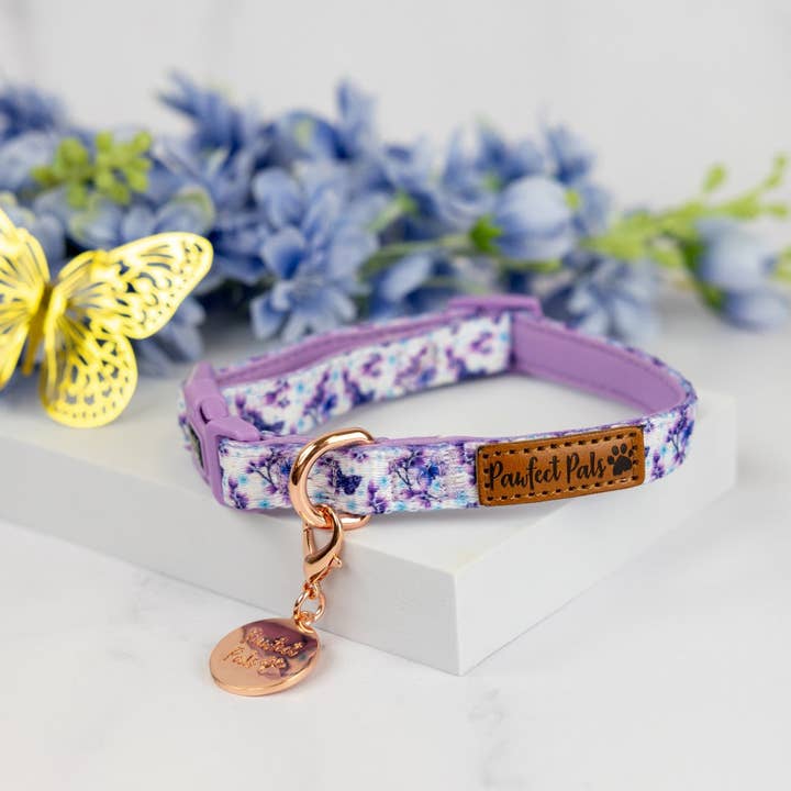 Social Butterfly - Collier souple pour chien pour la vente par Pawfect Pals