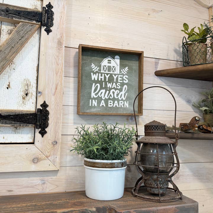 Hangout Home - Vendita all'ingrosso Cartelli - Cartello divertente: Why Yes I was Raised in a Barn, citazione di una fattoria3