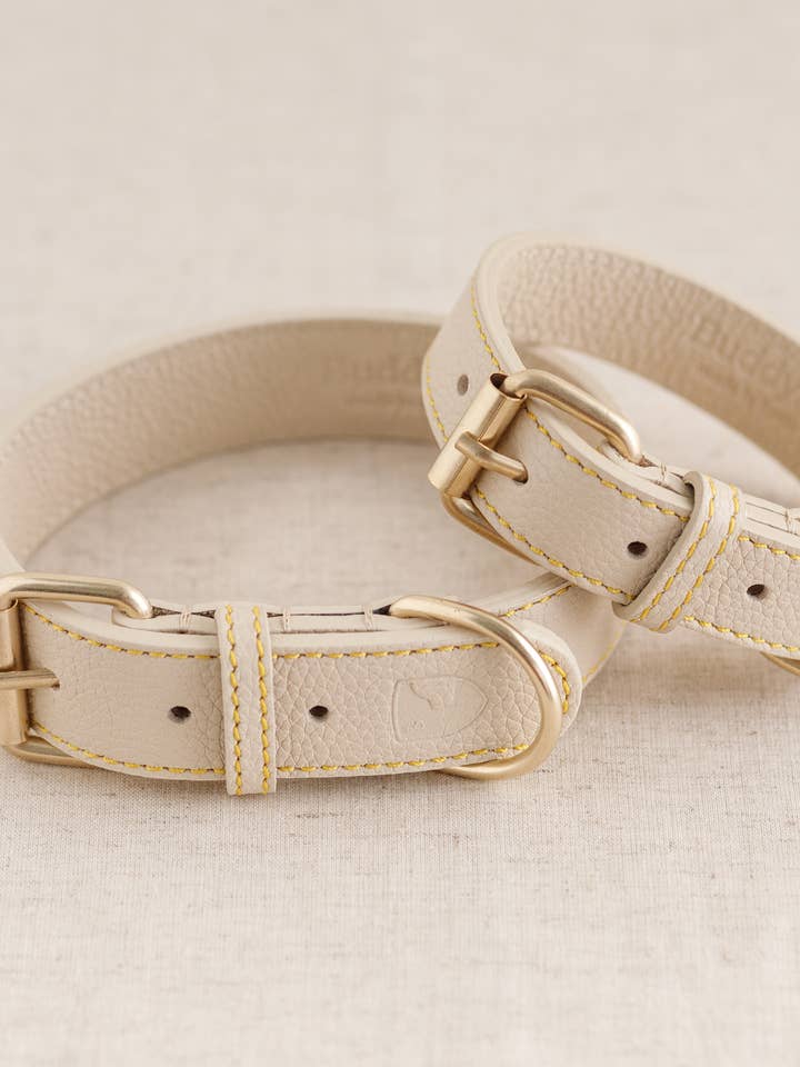 Dog Collar Sir Chuck Beige for wholesale by Buddys dogwear