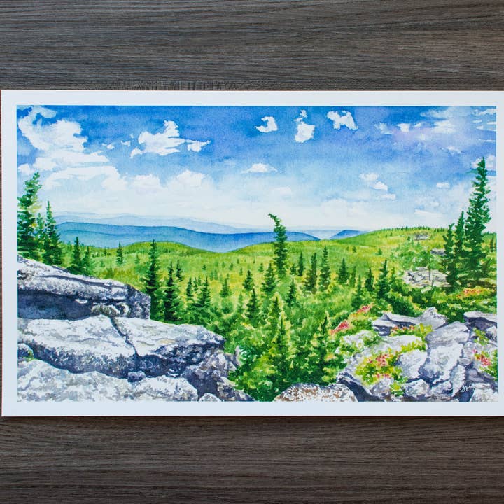 Stampa panoramica estiva di Dolly Sods per la vendita all'ingrosso da parte di Octavia Spriggs Fine Art