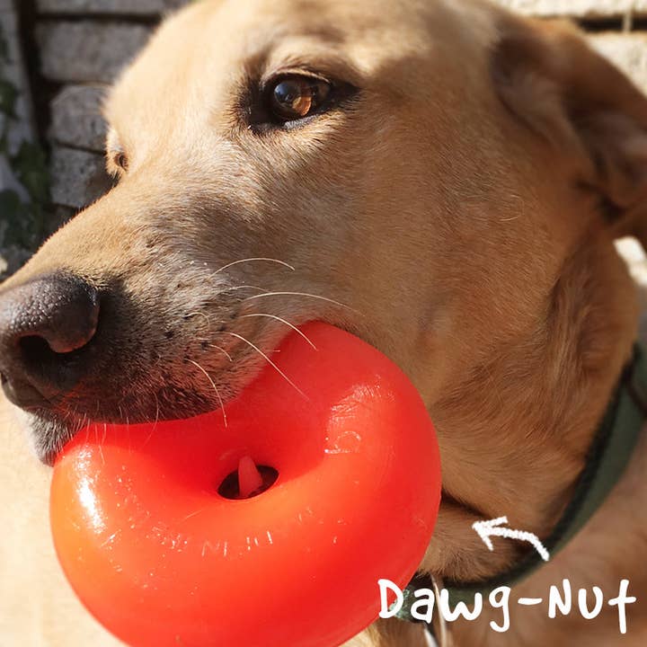 Playful Tail - Wholesale Pet Toy - Dog - Ruff Dawg Indestructible Dawg Nut Dog Toy, Assorted (2 Sizes Available)