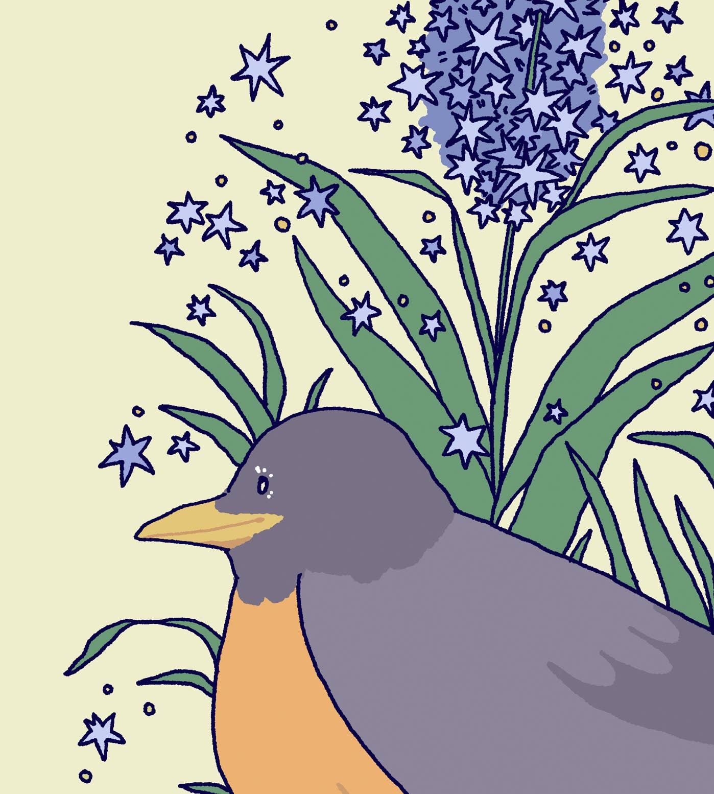Lydia Tonkonow Art and Design LLC - Wholesale Art Print - American Robin and Amsonia Bluestar Flowers - 8x10" Print1