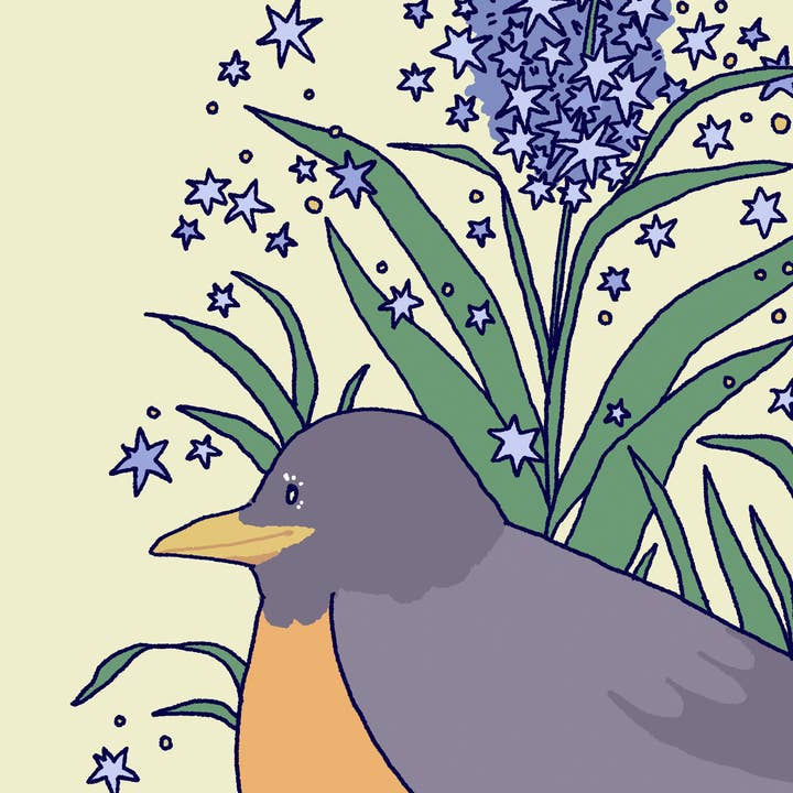 Lydia Tonkonow Art and Design LLC - Wholesale Art Print - American Robin and Amsonia Bluestar Flowers - 8x10" Print1