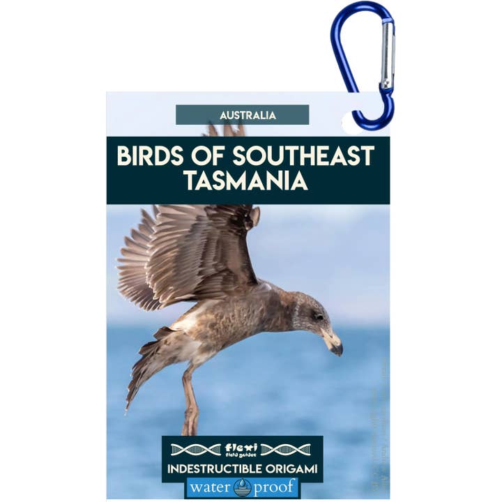 Uccelli della Tasmania sudorientale - Origami indistruttibile per la vendita all'ingrosso da parte di Flexi Field Guides