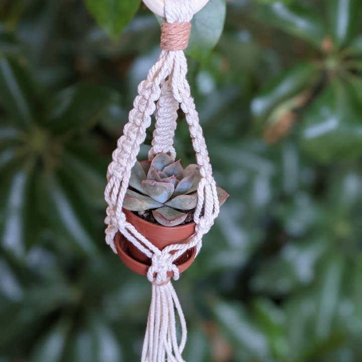 Leaf and Cord - Wholesale Hanging Planter - Mini Macrame Plant Hanger6
