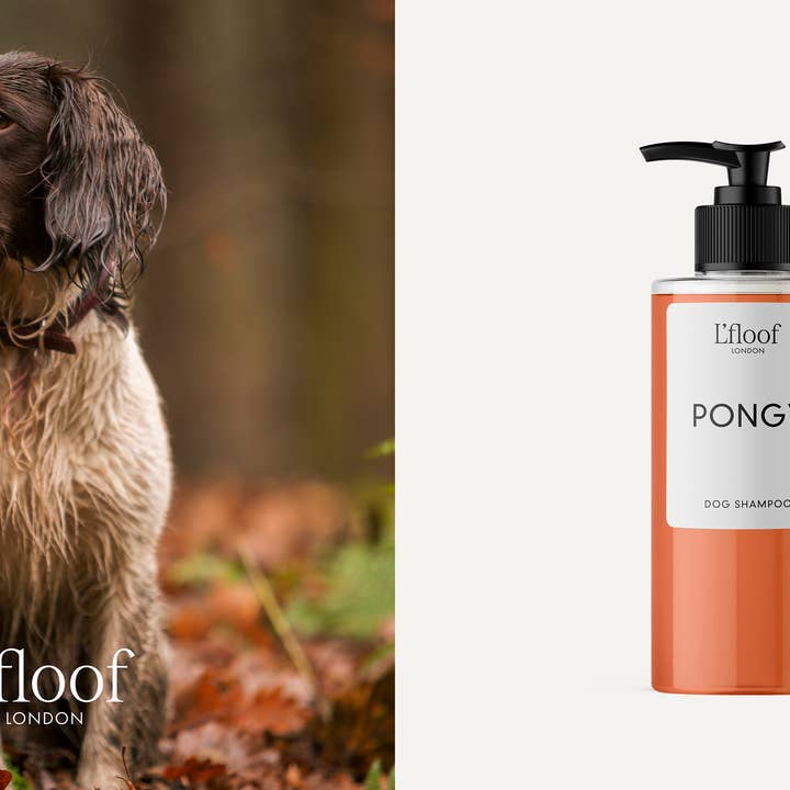 L'floof - Vendita all'ingrosso Shampoo - Cani - Shampoo naturale per cani - Arancione/May Chang - 300 ml L'floof