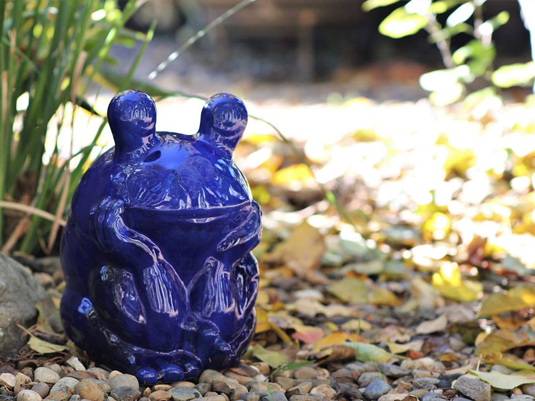 Pacific Home & Garden - Wholesale Plant Pot - Thinking Frog, Falling Blue