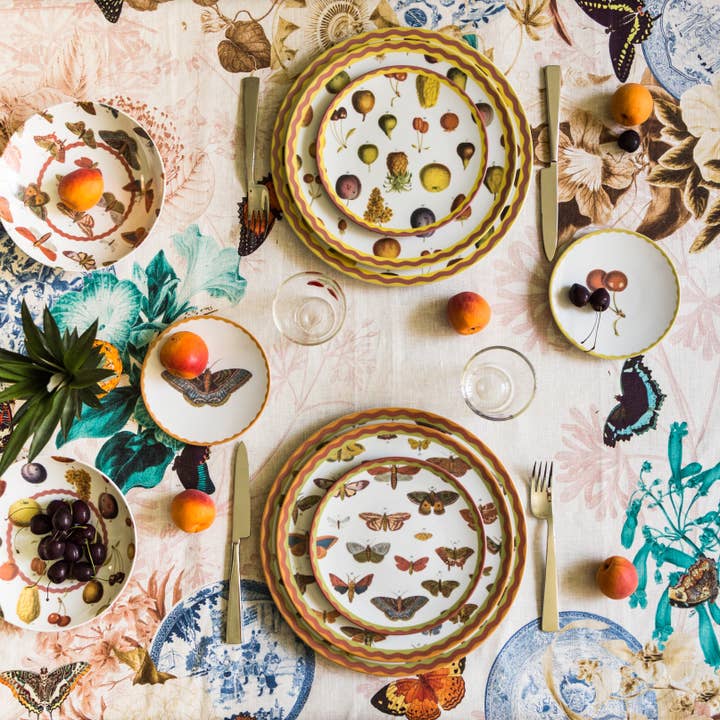 Vito Nesta Grand Tour - Wholesale Serving Plate - Cabinet de Curiosités 6 porcelain placemats #23