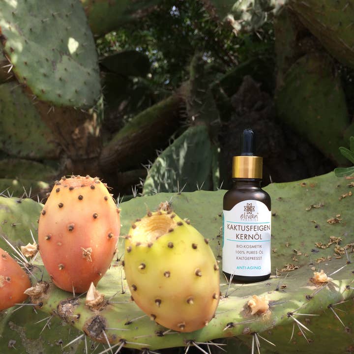 elivan organics – Großhandel Gesichtsserum/-konzentrat – Kaktusfeigenkernöl das Anti-Aging Serum aus Marokko 30ml1