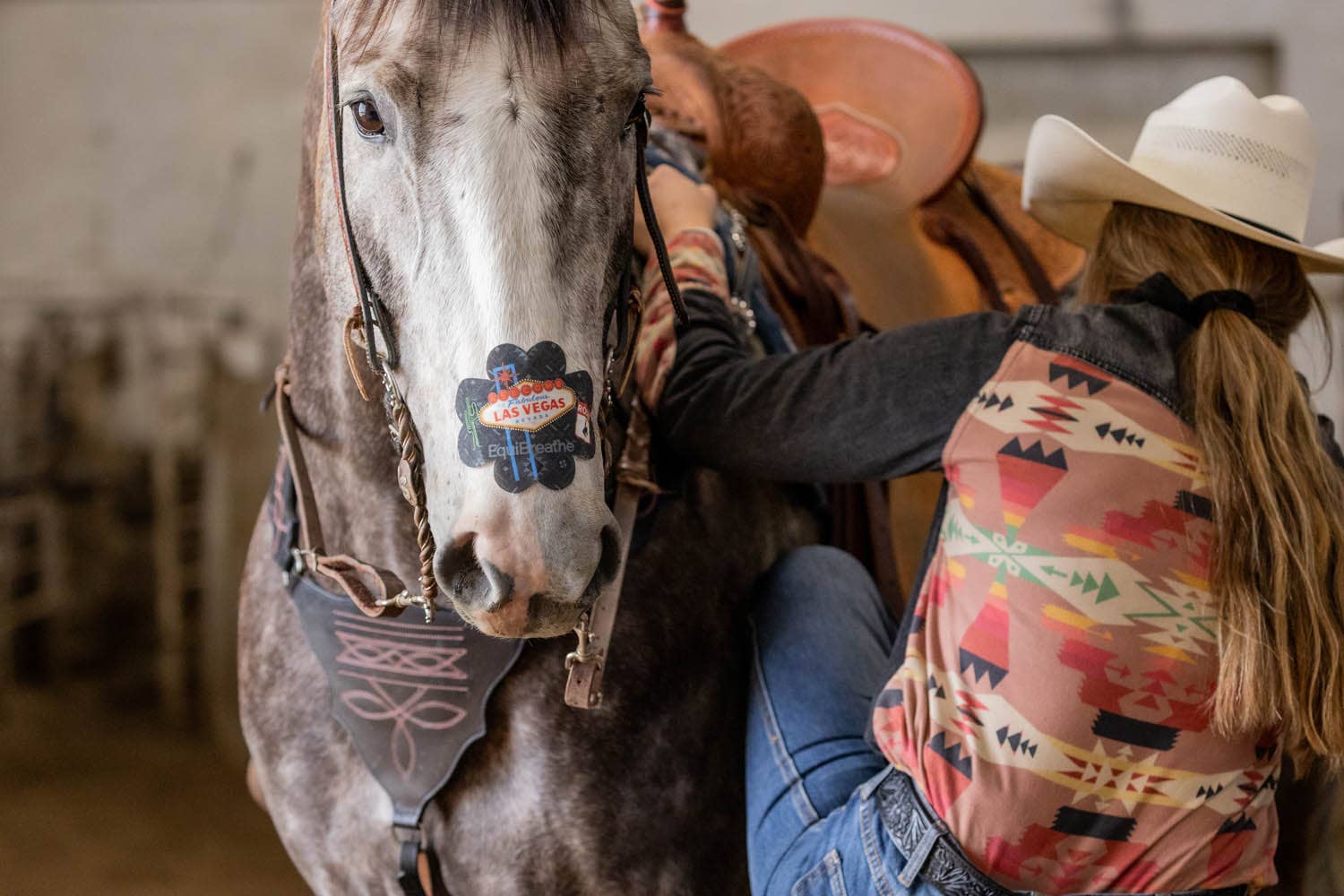 EquiBreathe™ – Equipamento de equitação por atacado – EquiBreathe™ Adesivo Nasal Equino - Vegas6