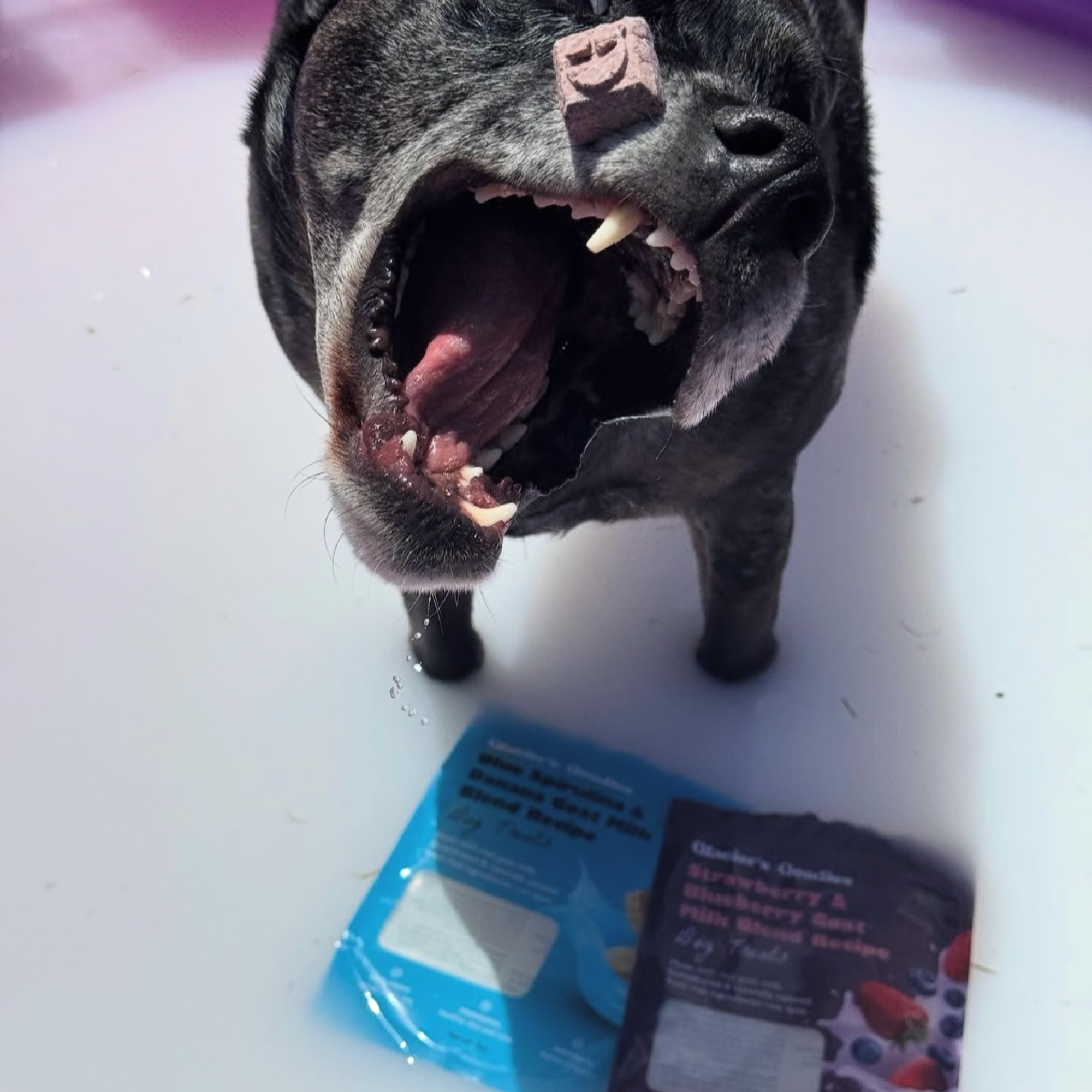 Glacier's Goodies - Wholesale Pet Treats - Dog - Goat Milk Dog Treats – Carob (7oz) 6pack6