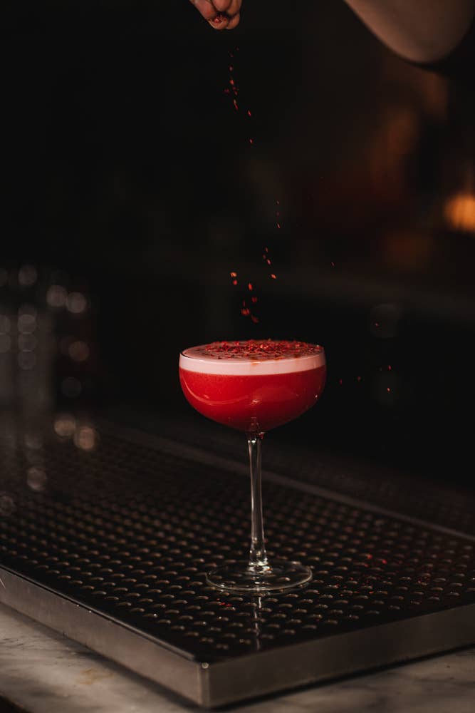 Hospitality Glass – wholesale Cocktail/liquor glass – Koshu 8 oz. Coupe2