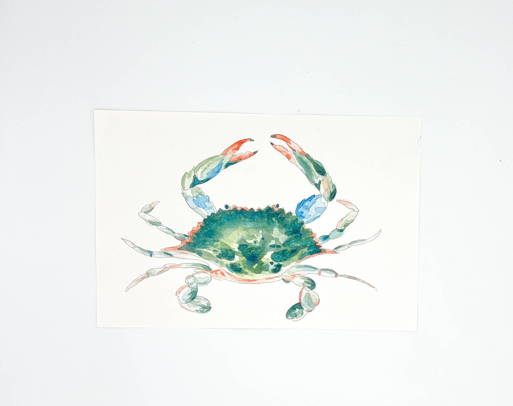 Melissa Hyatt - Wholesale DIY Craft Kit - Watercolor Art Kit- Blue Claw Crab5