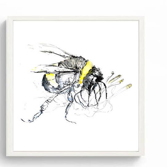 Wendy Laverick – wholesale Art print – Limited Edition Square Canvas Print Bertie the Bumble Bee3