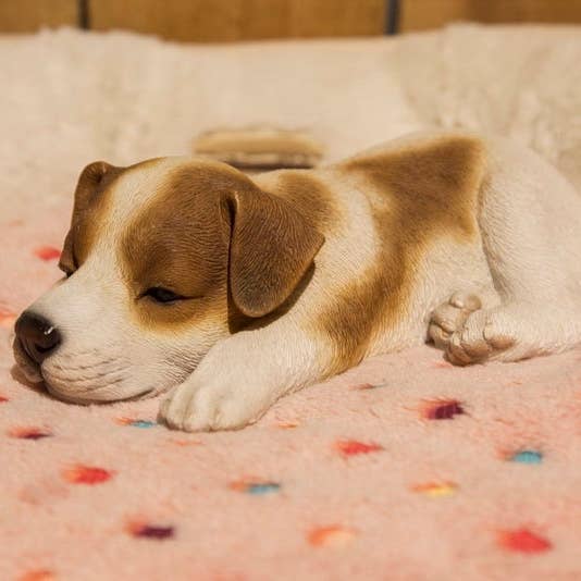 Hi-Line Gift Ltd. - Wholesale Decorative Figurine - Jack Russell Puppy Sleeping