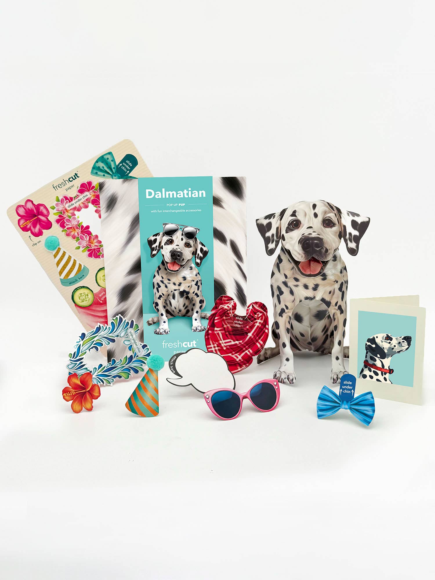 FreshCut Paper LLC - Wholesale Everyday Greeting Card - Dalmatian (6 Pop-up Greeting Cards)4