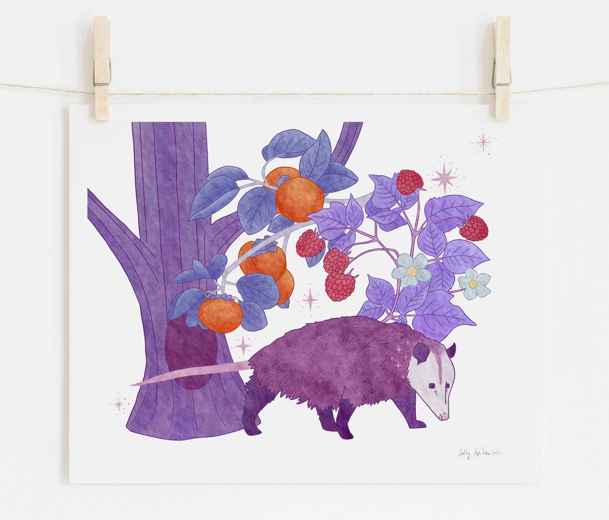 Sadly Harmless Illustration - Wholesale Art Print - Purple Opossum Print, unframed0