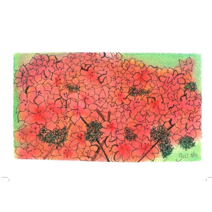 Card #4 A Burst of Orange for wholesale by One Woman's Art by Jill